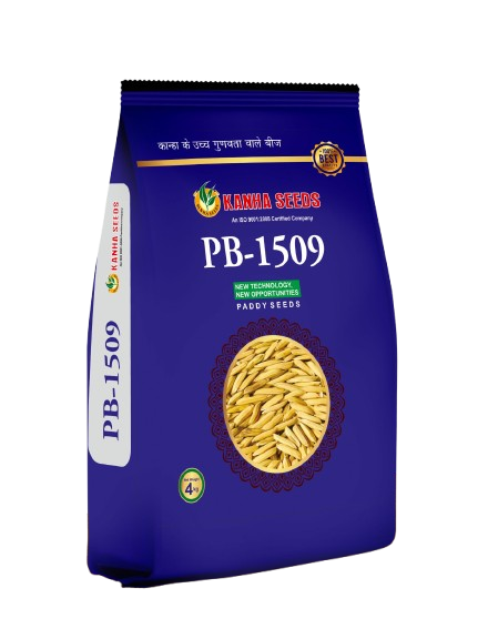 whatsapp image 2026 02 11 at 11.55.57 am 1 removebg preview